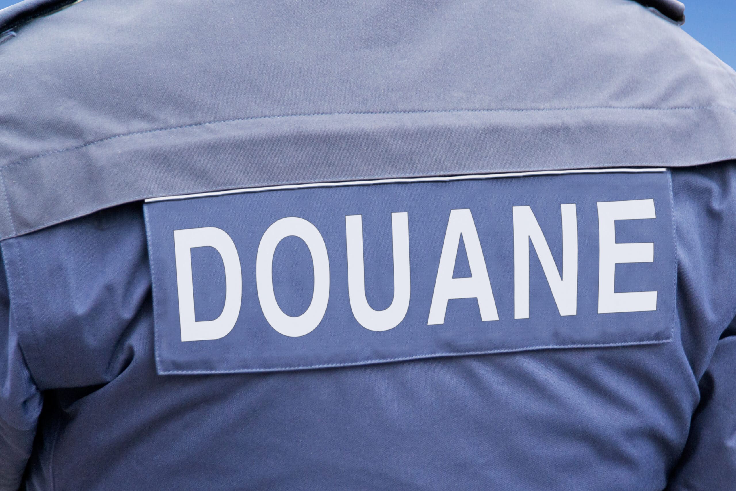 commissionnaire en douane DIMOTRANS Group