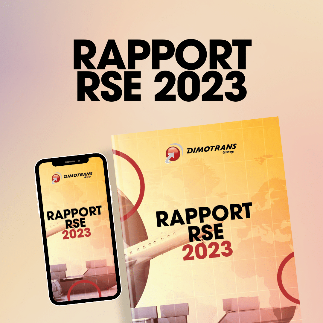 Rapport RSE DIMOTRANS Group